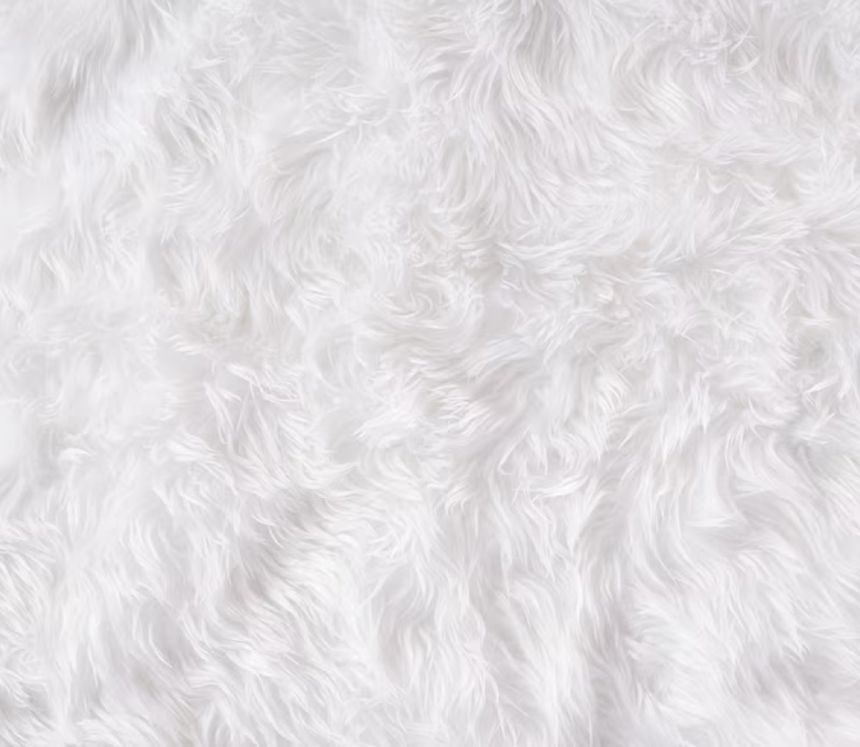 experince static background image